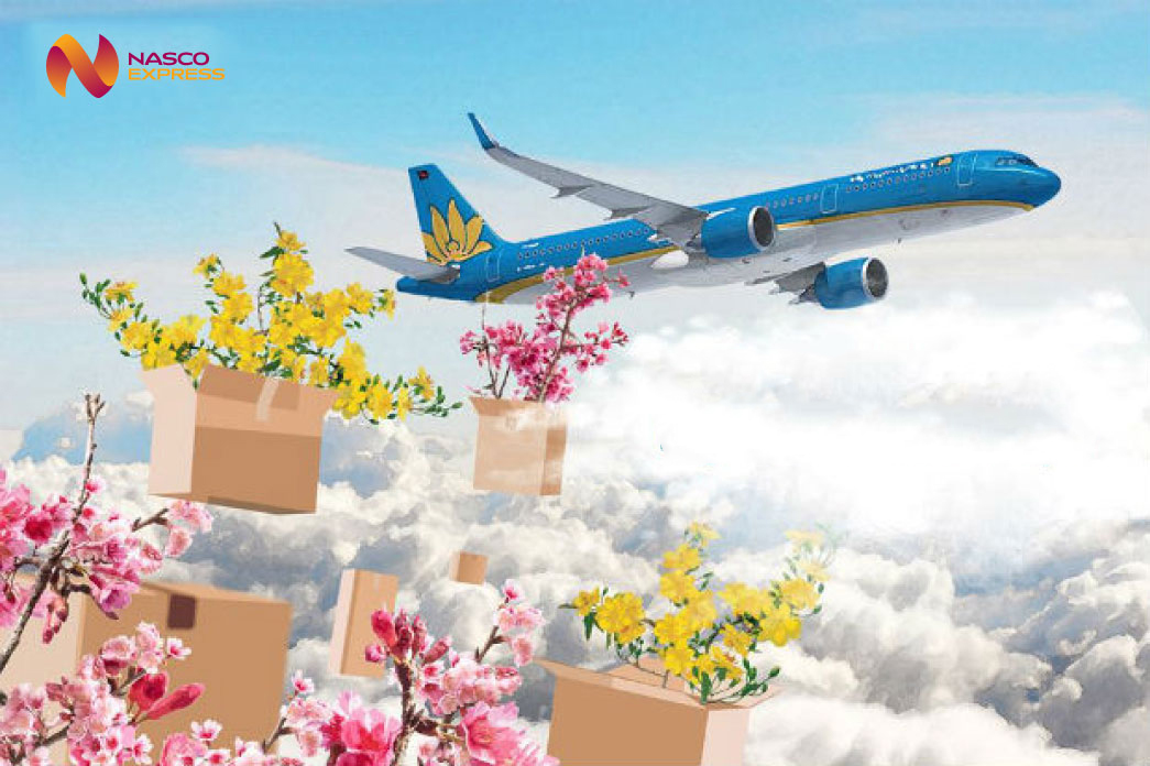 Dịch vụ vận chuyển quà Tết Nguyên đán 2019