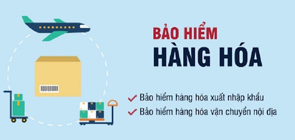 Các loại bảo hiểm hàng hóa phổ biến hiện nay