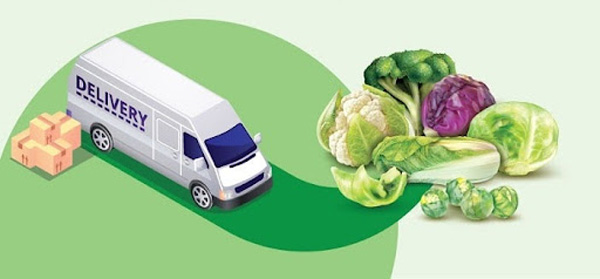 Bảo quản rau ở nhiệt độ thích hợp giúp rau luôn tươi xanh khi di chuyển ngày dài